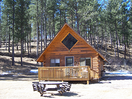 Washington Cabins